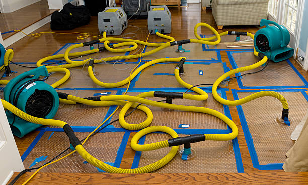 Professional Crawl Space Water Removal technician working in Angola, NY